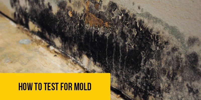 How-To-Test-For-Mold
